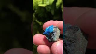 Chalcanthite from Local Planet Mine Arizona USA [upl. by Ambrogino425]