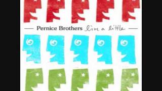 The Pernice Brothers  Cruelty To Animals [upl. by Iblok]