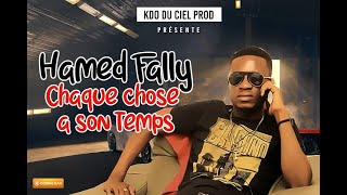 DJ HAMED FALLY feat DJ LEO CHAQUE CHOSE A SON TEMPS [upl. by Adehsar]