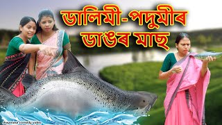 ডালিমীপদুমীৰ ডাঙৰ মাছ  Assamese comedy video  Assamese funny video [upl. by Reeve]