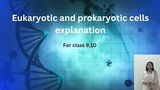 eukaryotic and prokaryotic cells explanation biology class 910 biology [upl. by Dwan]