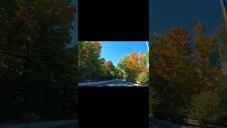 🍂 Fall Drives on Mississauga Road  Mississauga Ontario Canada  autumn driving scenicdrive [upl. by Tansy698]