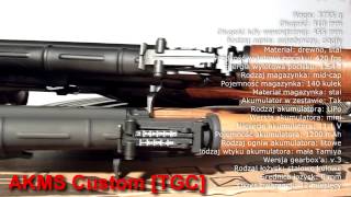 TGC Customs by Taiwangun  Airsoft Replica Presentation [upl. by Hait]