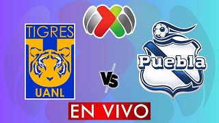 TIGRES VS PUEBLA EN VIVO  LIGA MX APERTURA 2024  JORNADA 11  DONDE VER EN VIVO [upl. by Cnut]