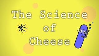 The Science of Cheese [upl. by Ginder]