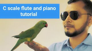 C Scale Flute introductory video  flute basic tutorial [upl. by Panter]