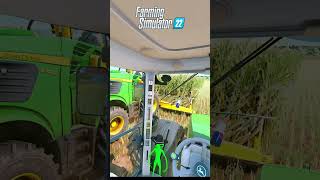 Comparação Silagem Farming 22 VS Farming 25 [upl. by Celestia]