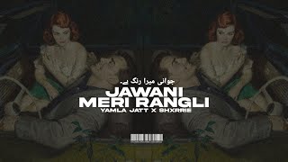 JAWANI MERI RANGLI YAMLA JATT X SHXRRIE [upl. by Calendre601]