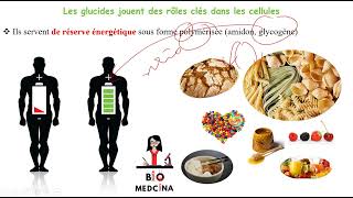 Biochimie CHAPITRE 1 LES GLUCIDES [upl. by Jump]