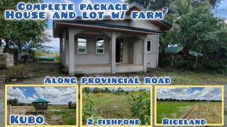 lot439 complete package House and lot wfarm 11hectares 55M wreturning investment umingan pang [upl. by Ayet]