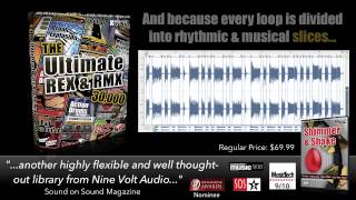 The Ultimate REX amp RMX 30000  Loops  by Nine Volt Audio [upl. by Hassi]