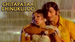 Chitapataa Chinukuloo  Agent Gopi Telugu Movie Video song  Krishna  Jayaprada  ఏజెంట్ గోపి [upl. by Eirot]