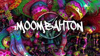 Moombahton Mix 2022  The Best of EDM 2022 Mix by Max Solution 43 MIX PARTY [upl. by Rehtae]