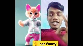 Cat ❤️ baby 🐈 daily short treding funny short viral daliy videos [upl. by Weide545]