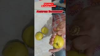 Behi ki sabzirecipe food simple cooking sabreenakitchen [upl. by Janeen]