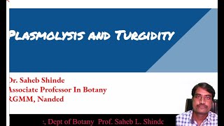 Plasmolysis and Turgidity [upl. by Nomrac]