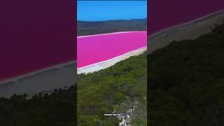 Why is the lake pink II pink lake sciencesciencefacts [upl. by Aramot]