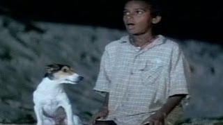 Godavari Comedy Scene  Animated Dog Talking To His Master [upl. by Aninay]