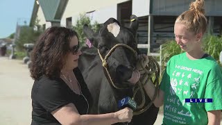 WGNs Marcella Raymond checks out the Lake County Fair [upl. by Ray410]