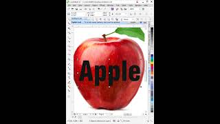 Graphic design  Graphic design full course  Graphic design tutorials for beginners [upl. by Eniamart]