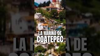 La Harina de COATEPEC es la mejor de México 🥰 shorts Harina CoatepecHarinas Edomex Turismo [upl. by Novar]