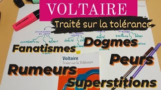 Voltaire  quot Traité sur la tolérancequot [upl. by Arraic]