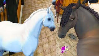 Buying ALL The New Andalusian Horses  Star Stable Online Horse Game Video [upl. by Lovering]