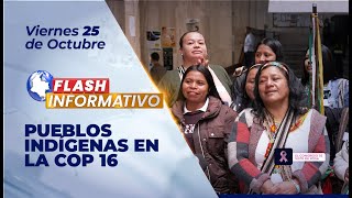 Flash Informativo I Pueblos indígenas en la COP 16 [upl. by Lamiv]