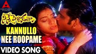 Kannullo Nee Roopame Video Song  Ninne Pelladatha Movie  NagarjunaTabu [upl. by Elmo]