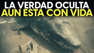 DESCUBRIERON El MIEDO Del Megalodón ¿A Quién TEMÍA eEl Monstruo De Los Océanos [upl. by Nagap]