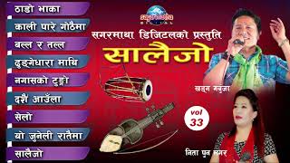 New Nepali Salaijo Hits Songs Collection Audio Jukebox Sagarmatha Digital [upl. by Nesmat415]