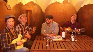 Musica Alentejana Ai venham ver o Alentejo  Brasa Doirada Reserva 2015 Cante Alentejano Alentejo [upl. by Frederica]