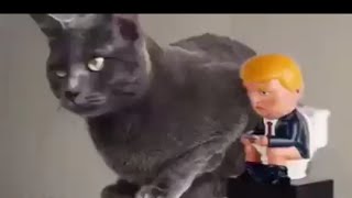 Cat Swatting Trump [upl. by Snider]