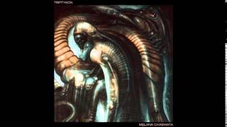 Triptykon  quotInto Despairquot quotMelana Chasmataquot japanese bonus track [upl. by Kroll124]