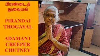 Grandmoms Authentic Pirandai Thogayal Recipe  பிரண்டைத் துவையல்  Adamant Creeper Chutney [upl. by Anuayek]