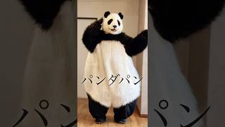 UCHIDA 1やってみた🐼2号だよ✨dance uchida uchida1 [upl. by Olim]