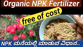 ರೂಪಾಯಿ ಖರ್ಚಿಲ್ಲದ ಆರ್ಗಾನಿಕ್ NPK ಮಾಡುವ ಸುಲಭ ವಿಧಾನhow to make organic NPK at homeNPK Fertilizer [upl. by Ramak]