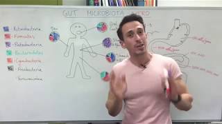 Gut microbiota gut bacteria  Introduction [upl. by Frager]