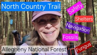 North Country Trail Allegheny National Forest Section Hike Recap [upl. by Ramar449]