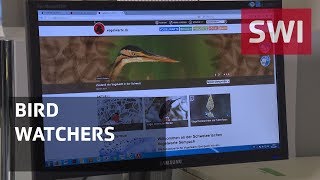 Thousands of volunteers help promote birds in Switzerland [upl. by Gluck]