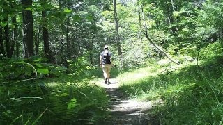 Wawayanda State Park and a bear  njHikingcom [upl. by Nealy]