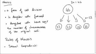 Leaving Cert Biology Meiosis [upl. by Etteoj]