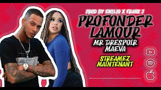 Mr Drespoir Ft Maëva  Profonder Lamour  Canada Remix [upl. by Hairahs]