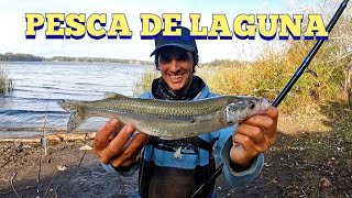 SE LLENO DE PEJERREYES LA LAGUNA HASTA TRIPLETE PESCANDO DESDE COSTA [upl. by Fakieh]