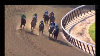 2015 Belmont Stakes  Triple Crown Race  Horse Racing  American Pharaoh  Funny Racing Music [upl. by Lindie750]