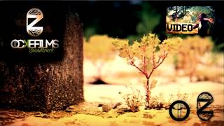 CloZee  Gold Sand Free Download [upl. by Nyleahs]