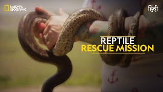 Reptile Rescue Mission  Snakes in the City  हिन्दी  Full Episode  S2  E1  Nat Geo Wild [upl. by Figueroa]