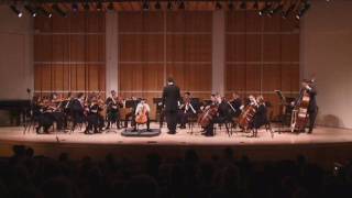 Vivaldi Cello Concerto in B minor RV 424 Movements I amp II [upl. by Vassaux]