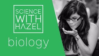 Food Tests  GCSE Biology Revision  SCIENCE WITH HAZEL [upl. by Engdahl]