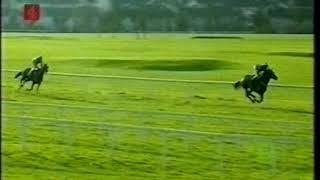 2002 Woodiesdiycom Christmas Hurdle [upl. by Guilbert]